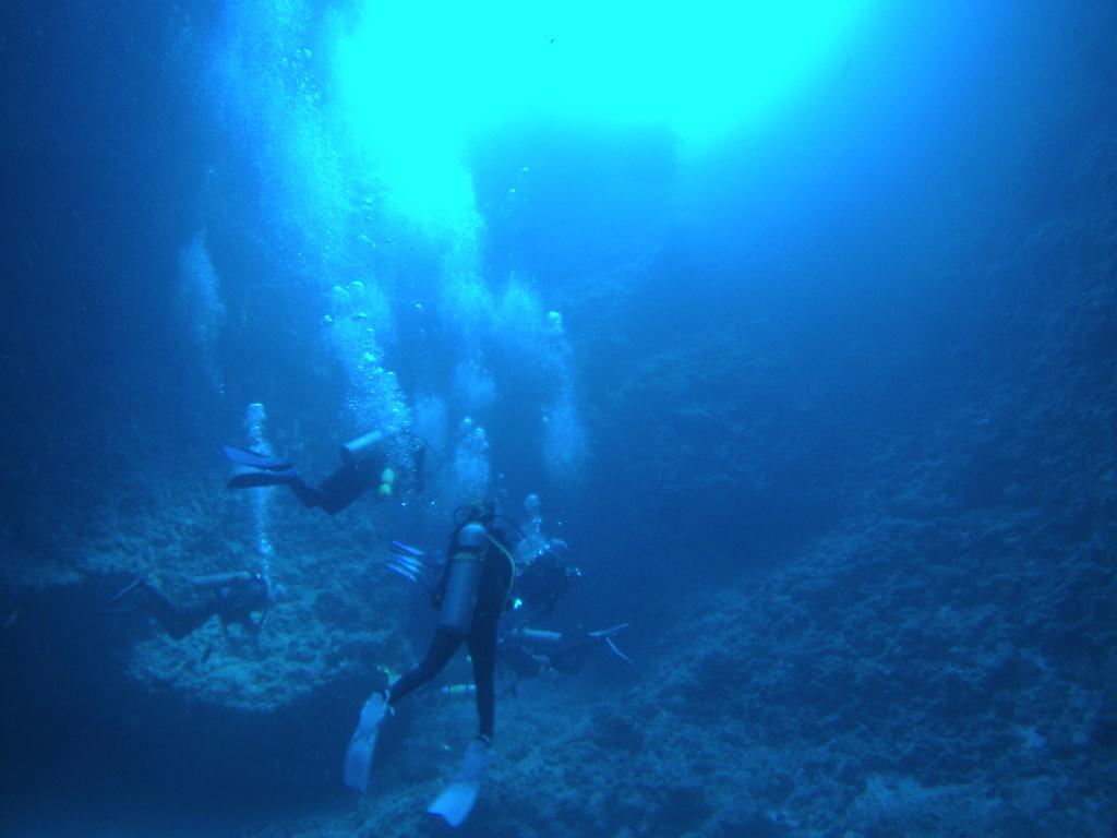 팔라우 다이빙 2일차 - Palau - Blue Hole