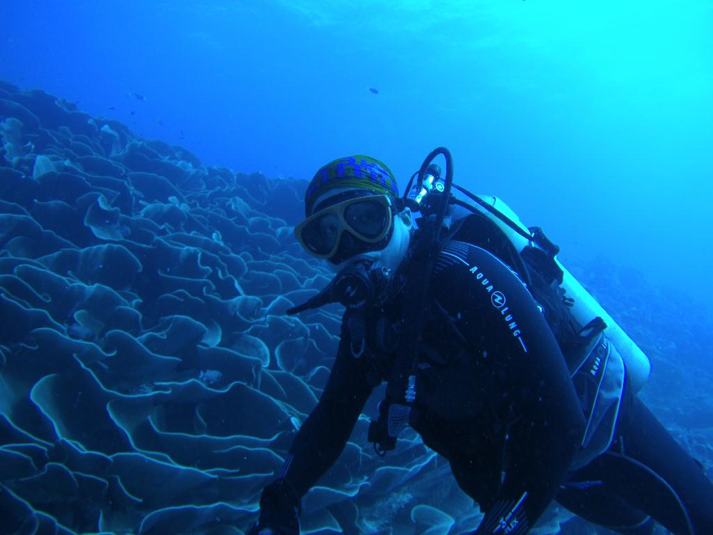 팔라우 다이빙 1일차 - Palau - Ulong Channel