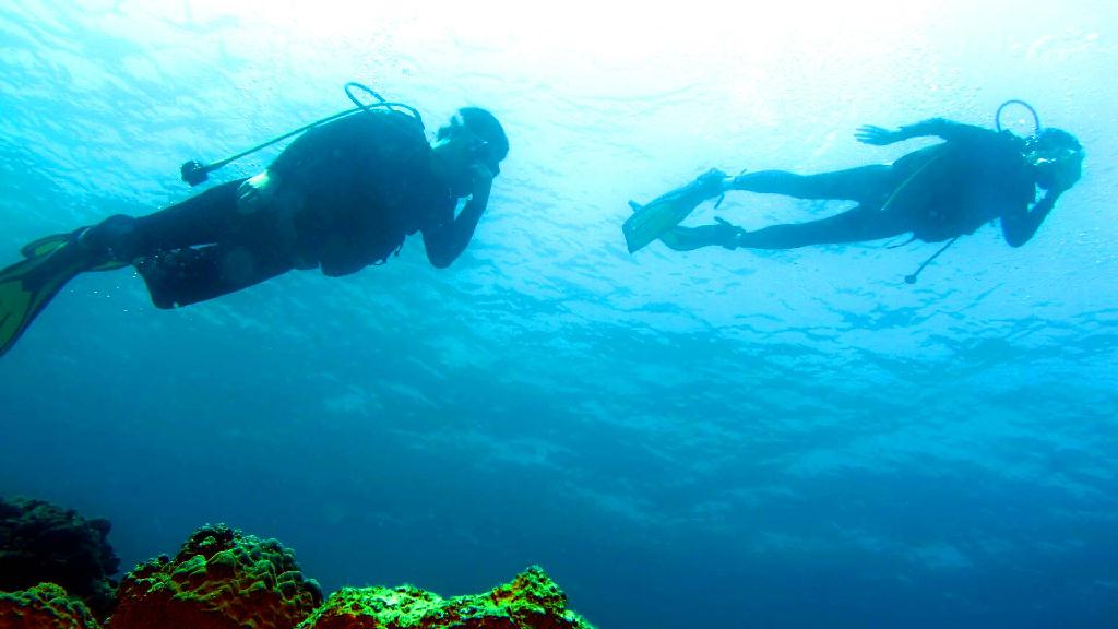 두번째 바다 이야기 - 필리핀 세부 - 막탄 제이다이브