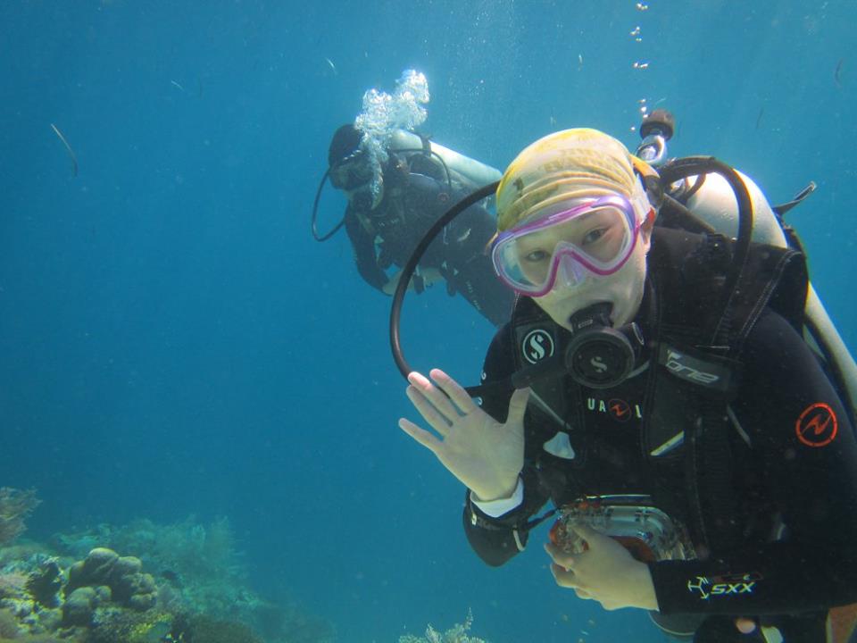 펀다이빙 - 씨홀스 다이브 - Nalusuan