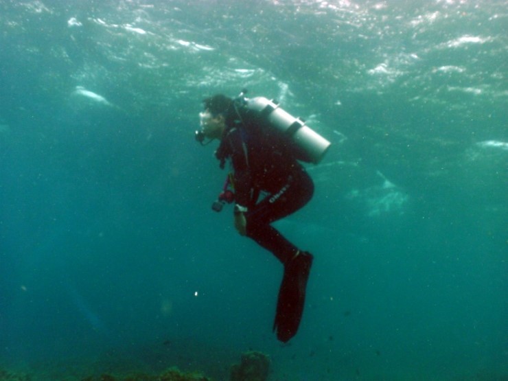 펀다이빙 - 필리핀 모알보알 블루스타 리조트 - 페스카도르(동)