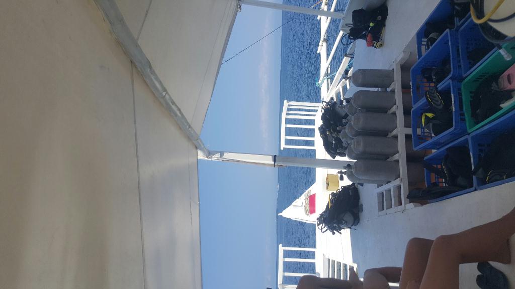 발리카삭 다이빙 - 필리핀 보홀 발리카삭 - divers heaven