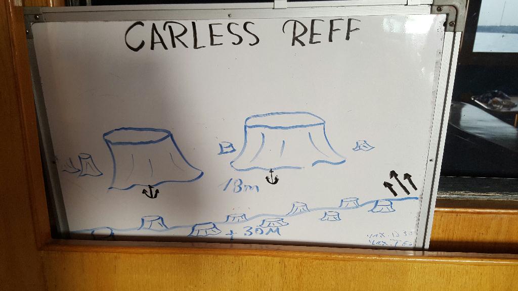 Fund Diving - Hurgada Egypt - Careless Reff