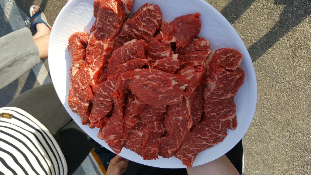 천진 OK 다이브 - 문어대