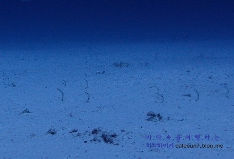 Similan M/V Camic - Anita