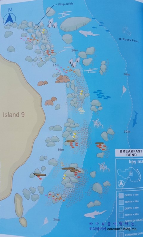 Similan M/V Camic - Three Tree Is.9