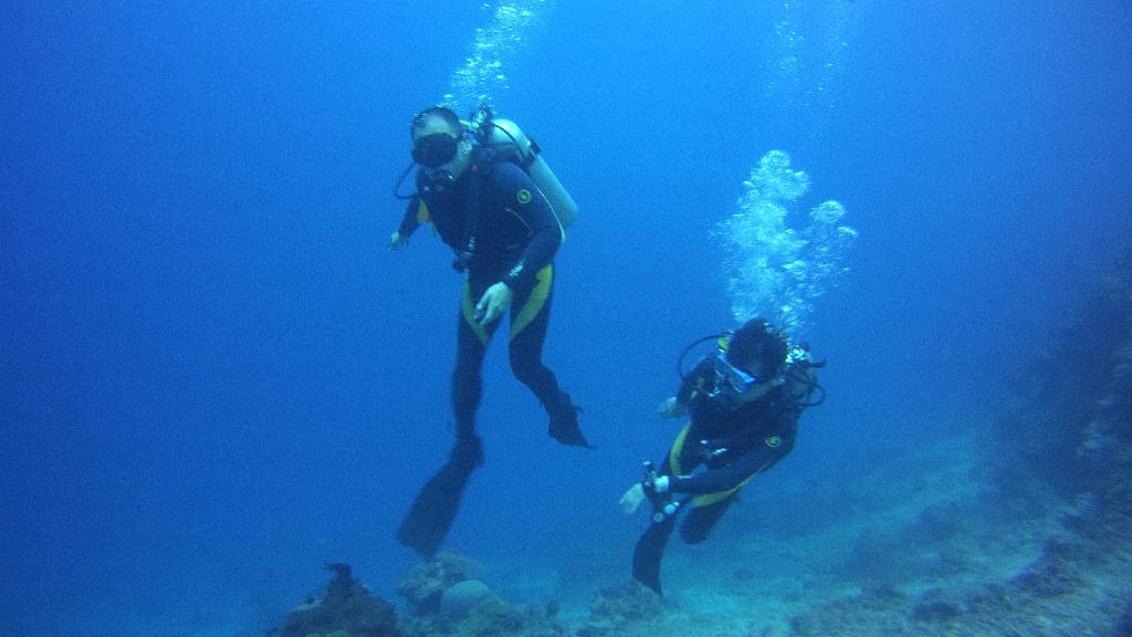 보흘 아로아 - 보홀 - 크리스탈 코스트