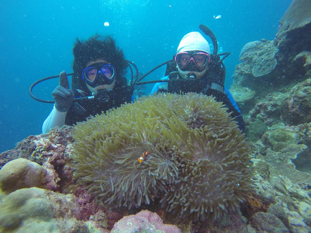 해양실습&fun - Moalboal - Pescador island