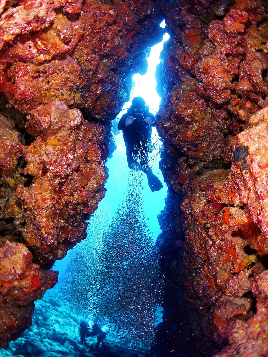 Tokashiki Seafriend Dive - 나카치부르
