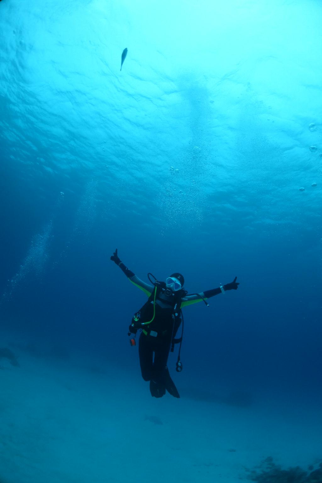 Okinawa Seasir Dive - Jitsuru
