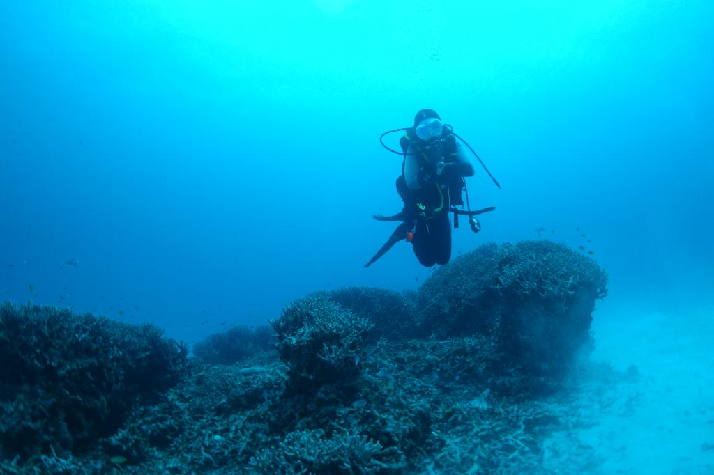 Okinawa Seasir Dive - Jitsuru
