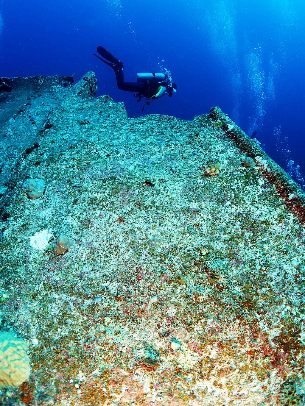 Tokashiki Seafriend Dive - Wreck 92