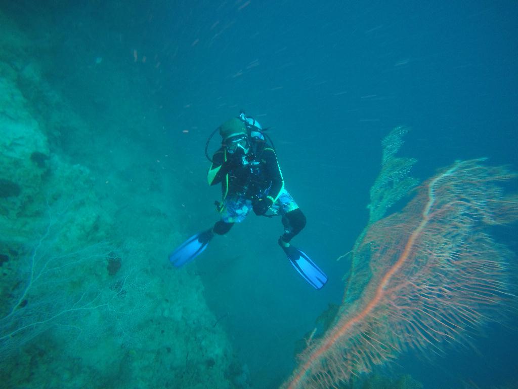 Fun dive - Lion scuba dive - 마린 쌍뚜아리 