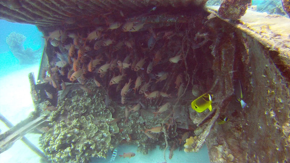 사이판 Y2K DIVE - B-29 EMILY 