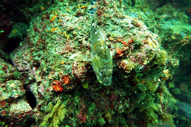 제주 서귀포 - 범섬