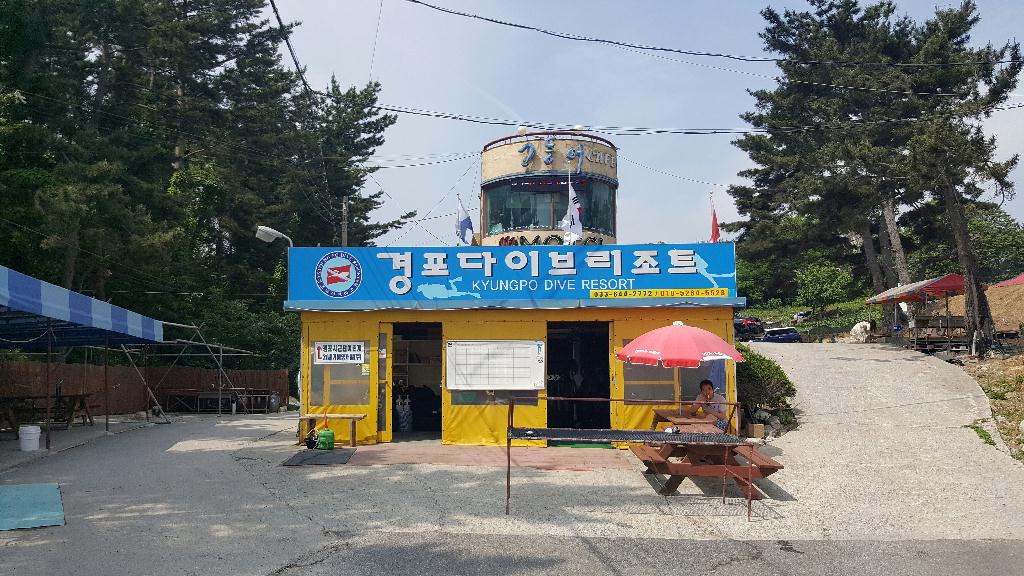 경포다이브 - 해중공원