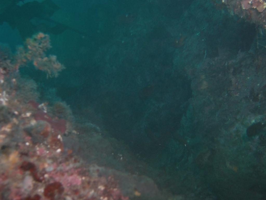 Fun - 제주도 성산 블루버블  - 오점개