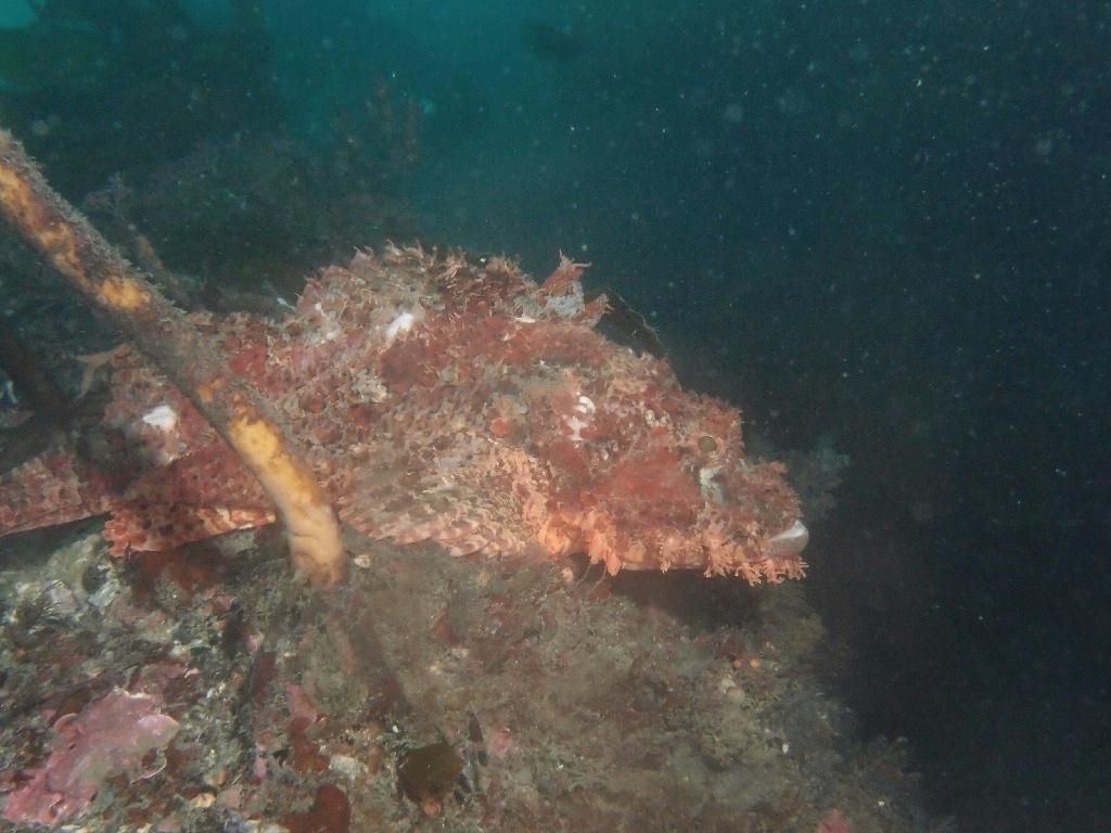 Fun - 제주도 성산 블루버블  - 오점개