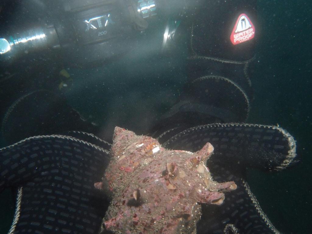 Fun - 제주도 성산 블루버블  - 오점개