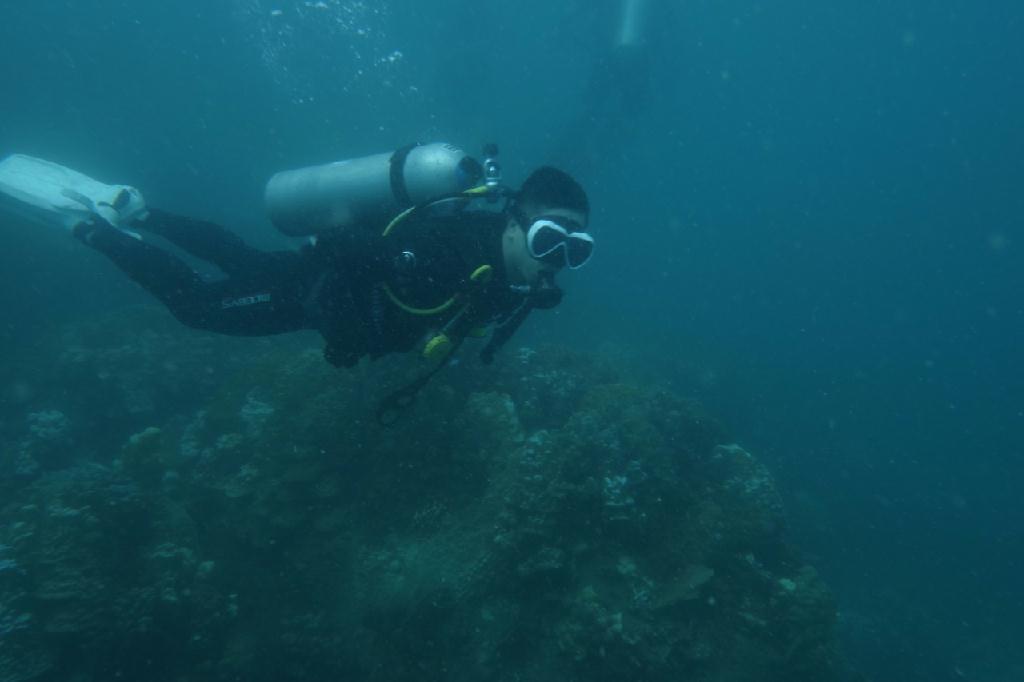 Advanced Open Water Naturalist Assist - 태국 꼬따오 - White Rock