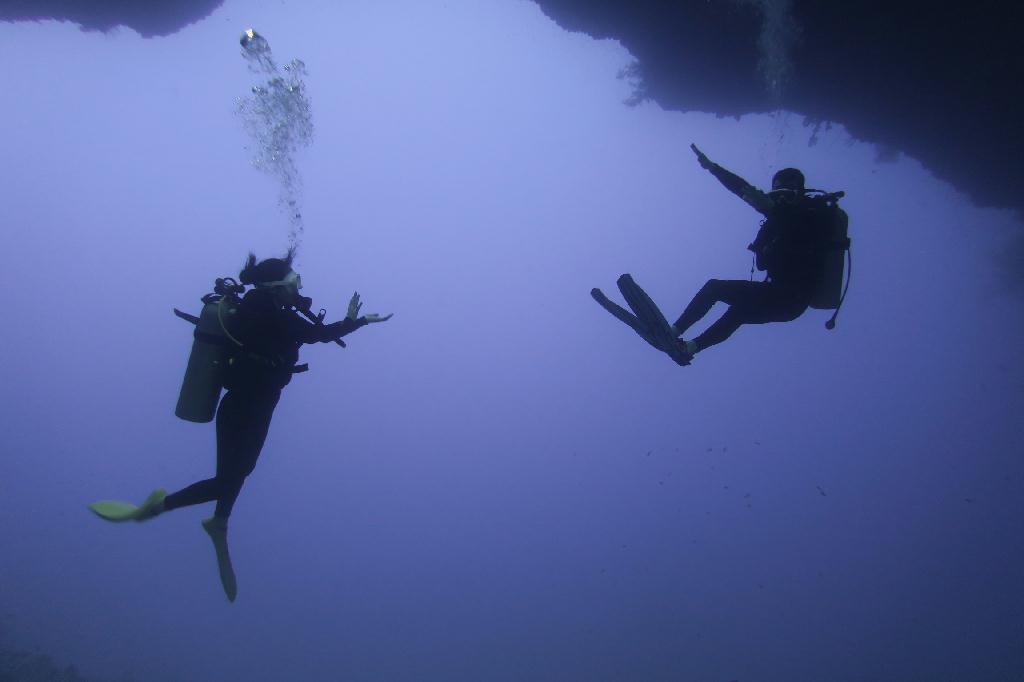 펀다이빙 - 팔라우 - 블루홀