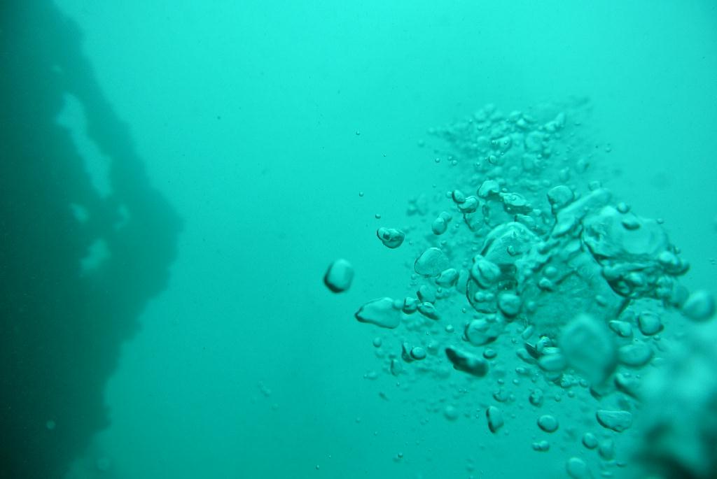 펀다이빙 - Oceanic quest in Brunei - dolphin wreck