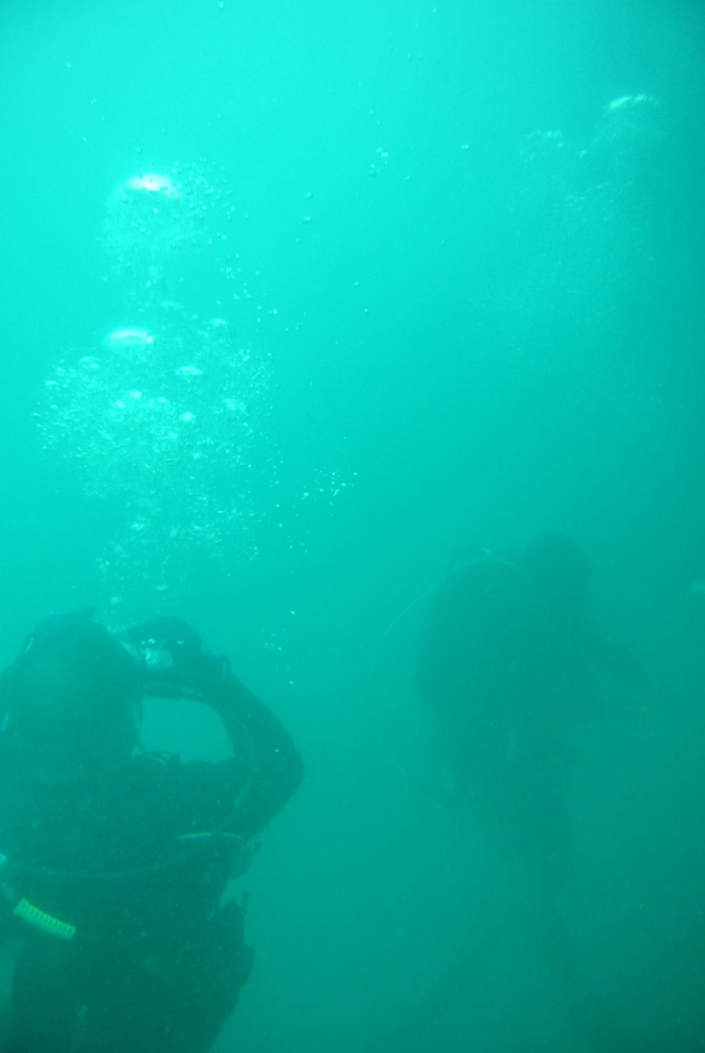 펀다이빙 - Oceanic quest in Brunei - dolphin wreck