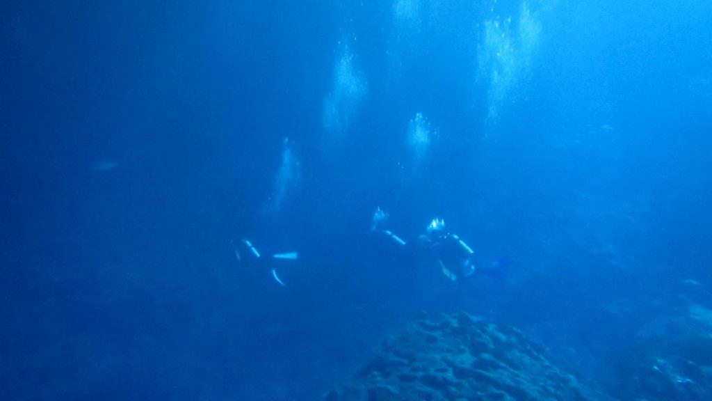 사이판 deep bluesea - GROTTO