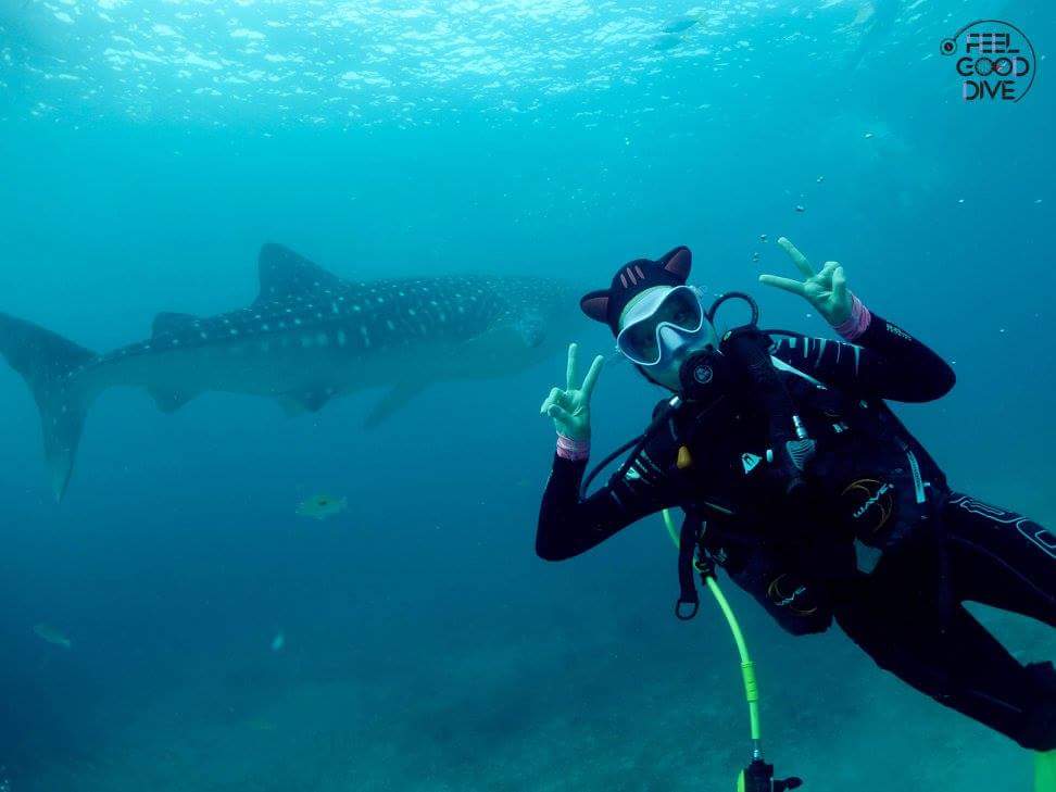 펀다이빙 - 필리핀 세부 - 오슬롭