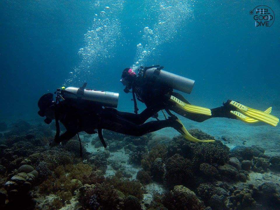 다이브 사이트 탐험 - Cebu, Philippines - Sumilon island