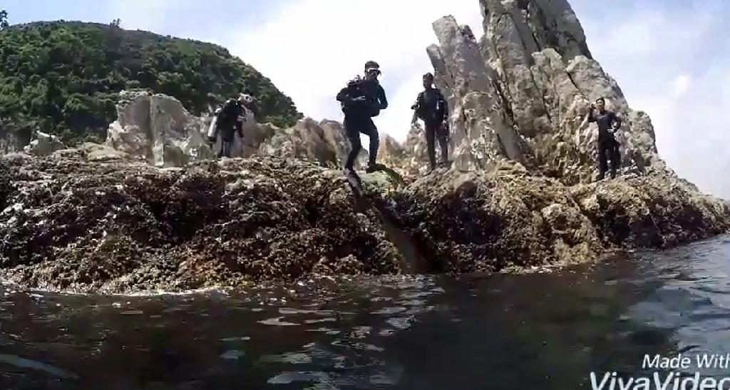 문섬 펀 다이빙 - 제주도 - 문섬