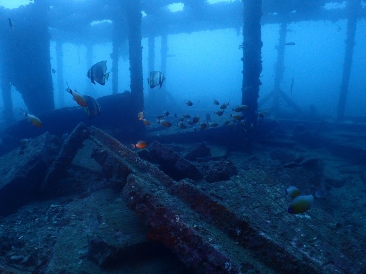 펀다이빙 - 필리핀 아닐라오 킹콩다이브리조트 - 다릴라웃