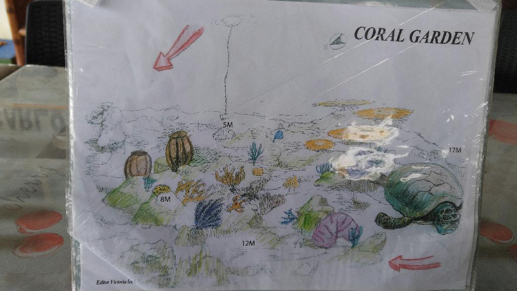 잇다이버스 아닐라오투어 - Anilao - Coral Garden