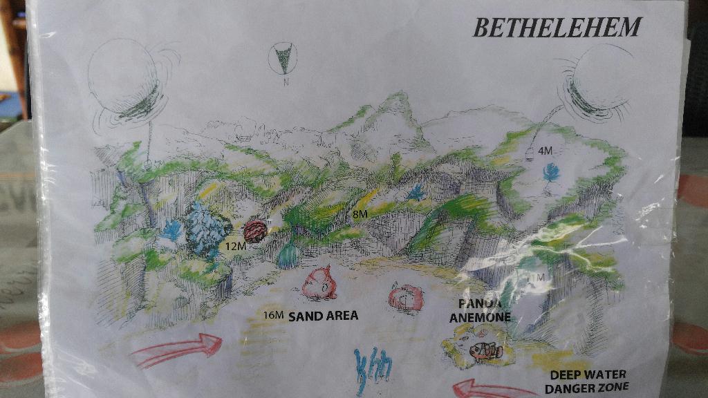 잇다이버스 아닐라오투어 - Anilao - Bethelehem