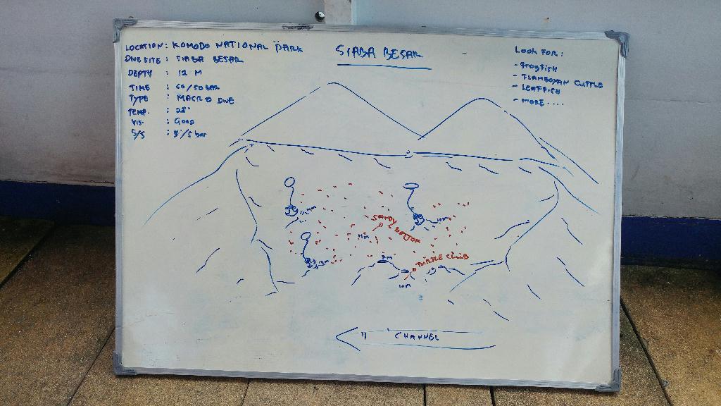 Komodo - Siabab besar