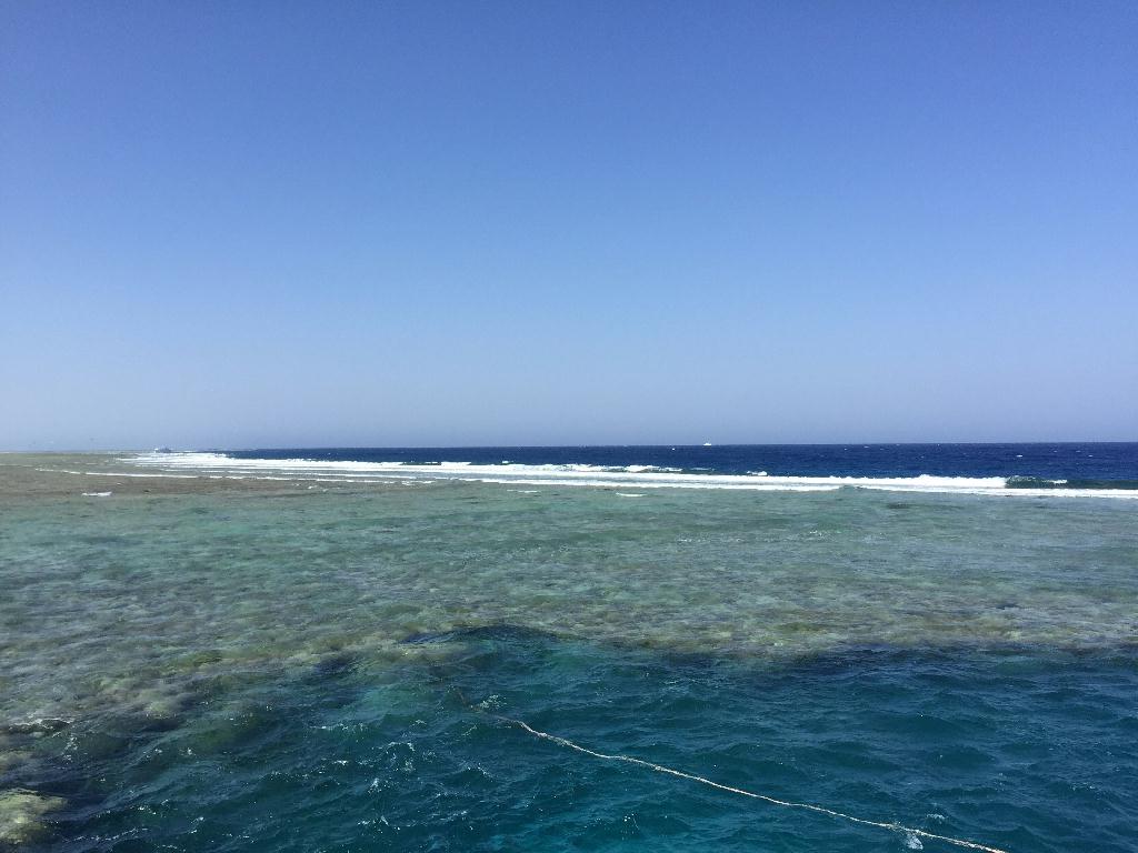 Fun Diving - Marsa alam - Marsa Shouni Soraya