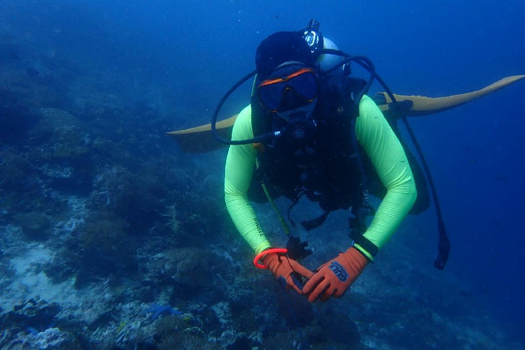 pescador island
