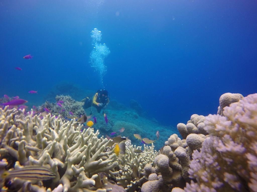 Bohol Island - eden