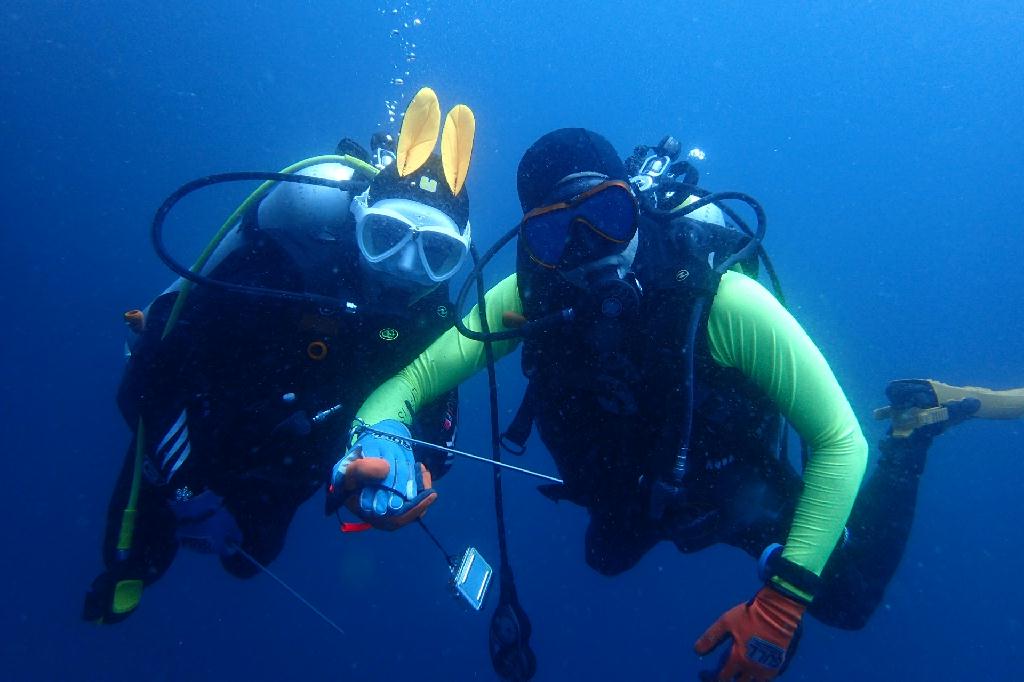 pescador island