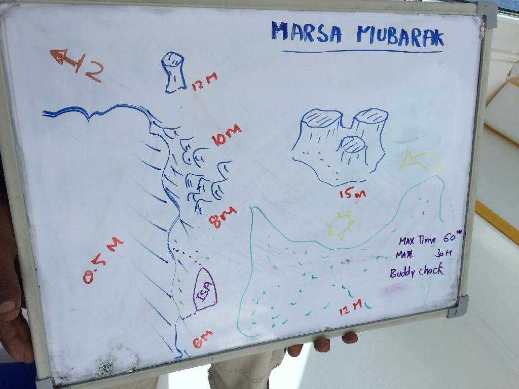 Fun Diving - Marsa alam - Marsa Mubarak