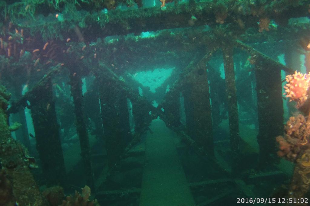 남애리 아쿠아갤러리 - 맨하탄