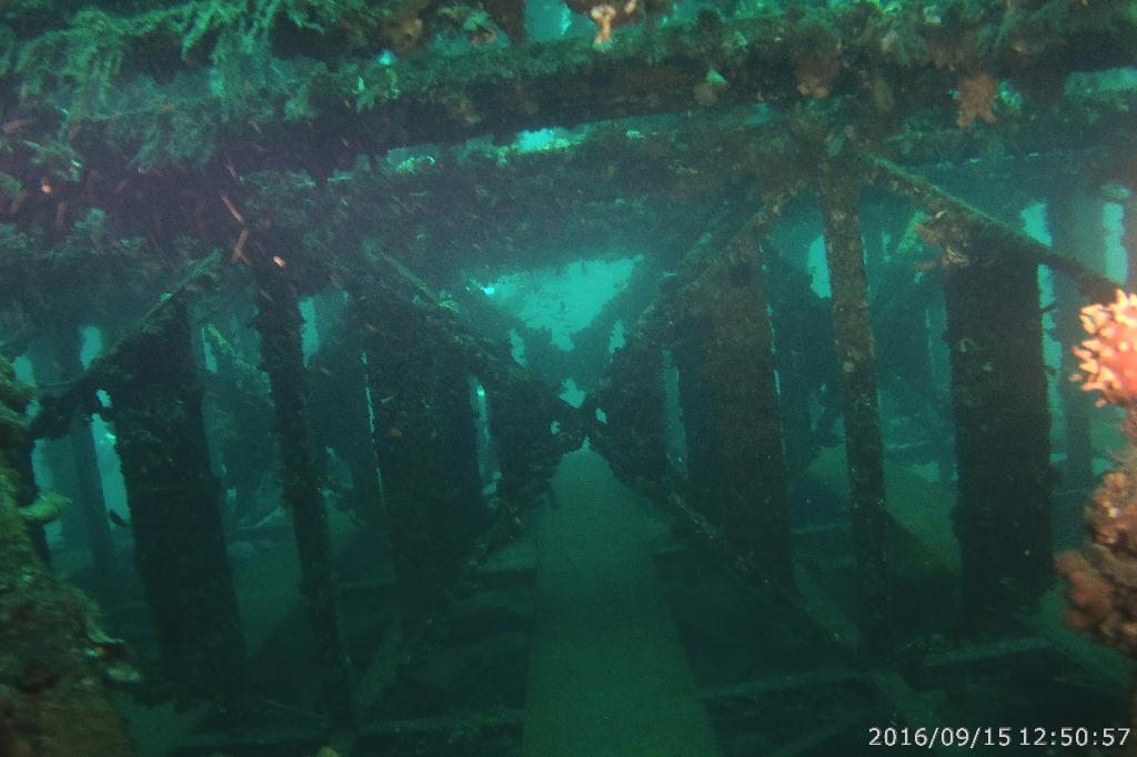 남애리 아쿠아갤러리 - 맨하탄