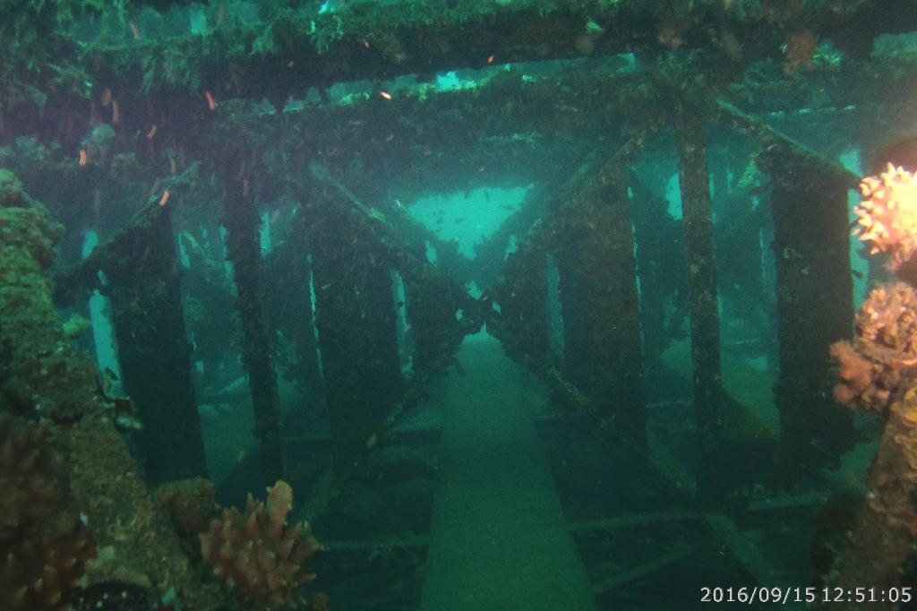 남애리 아쿠아갤러리 - 맨하탄