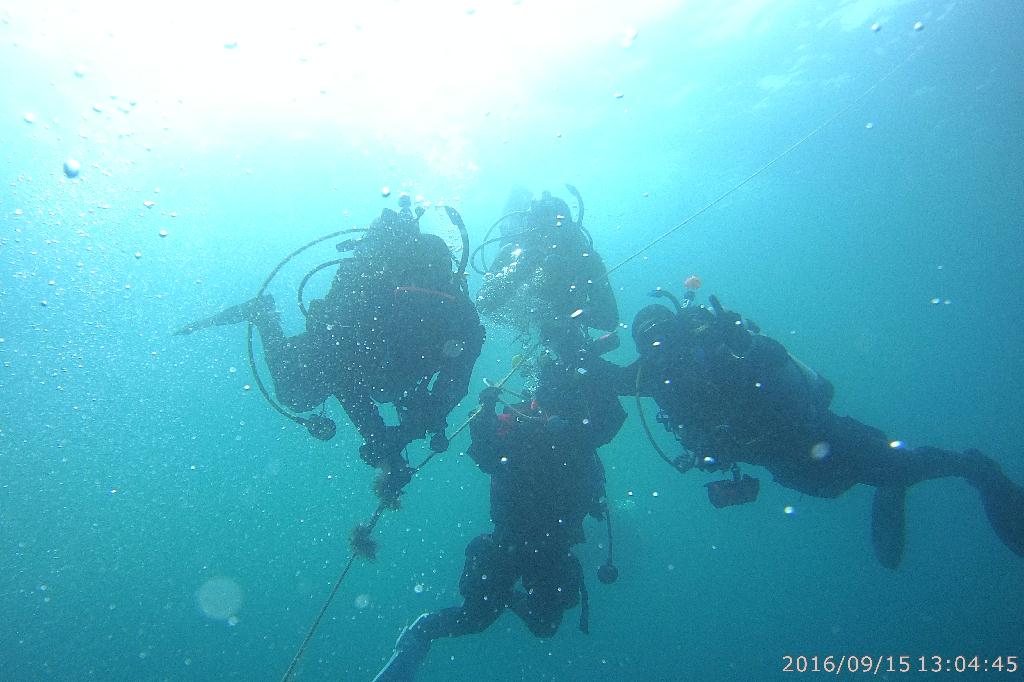 남애리 아쿠아갤러리 - 맨하탄