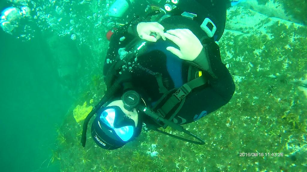 방어대포인트 - 봉포다이빙 - 방어대 2 포인트 