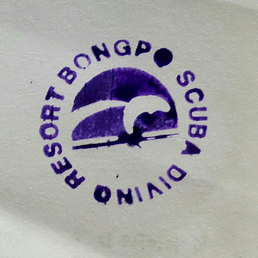 방어대포인트 - 봉포다이빙 - 방어대 2 포인트 