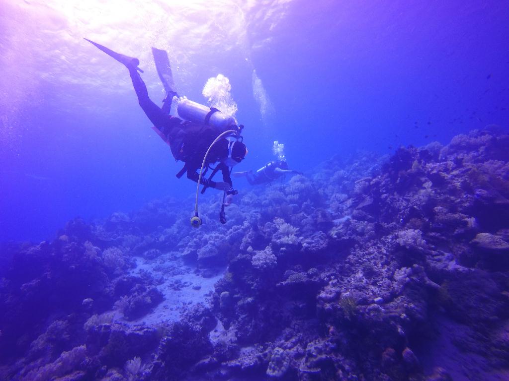 Apo Island