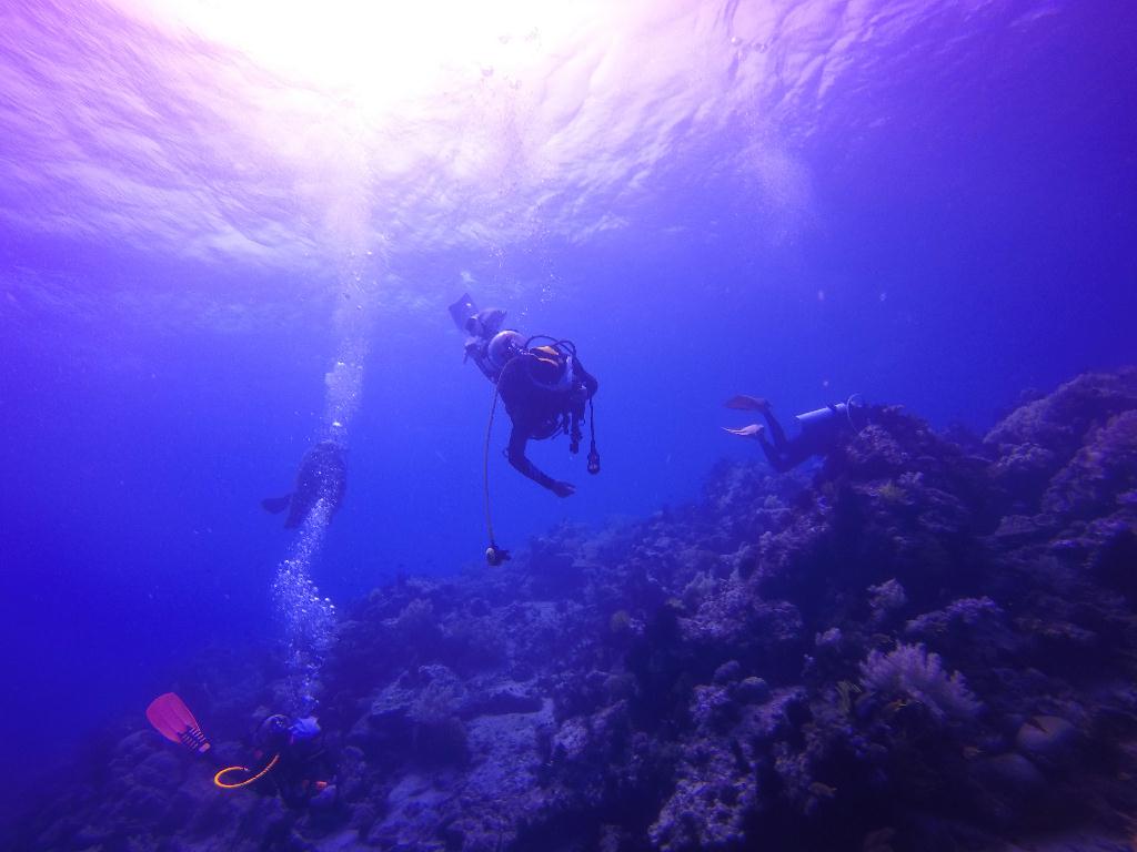 Apo Island