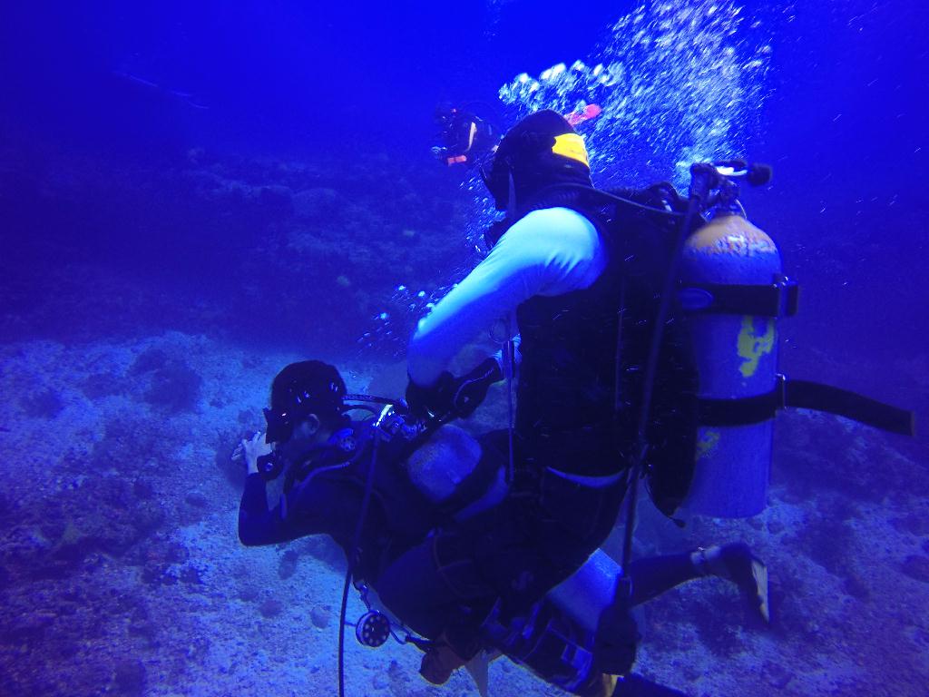 Apo Island