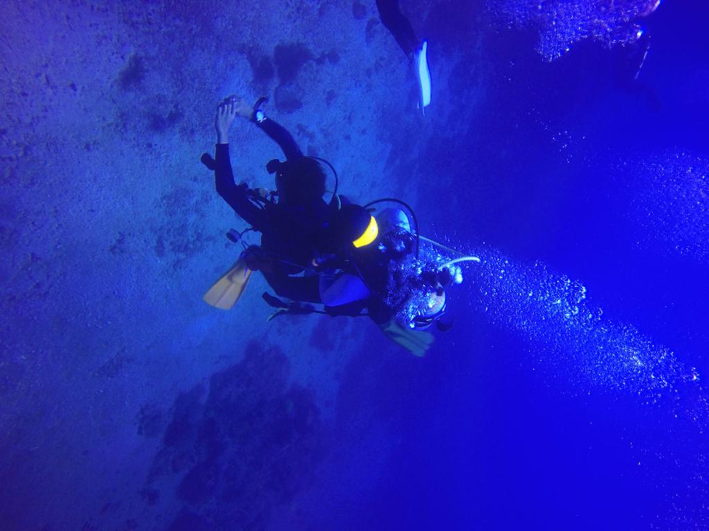 Apo Island